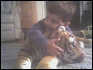 owen-tiger.jpeg